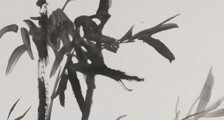 药物咨询师招生简章(图文)