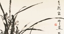 动物管理师招生简章(图文)